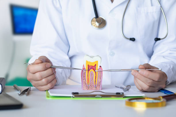 Best Urgent Dental Care  in Winooski, VT